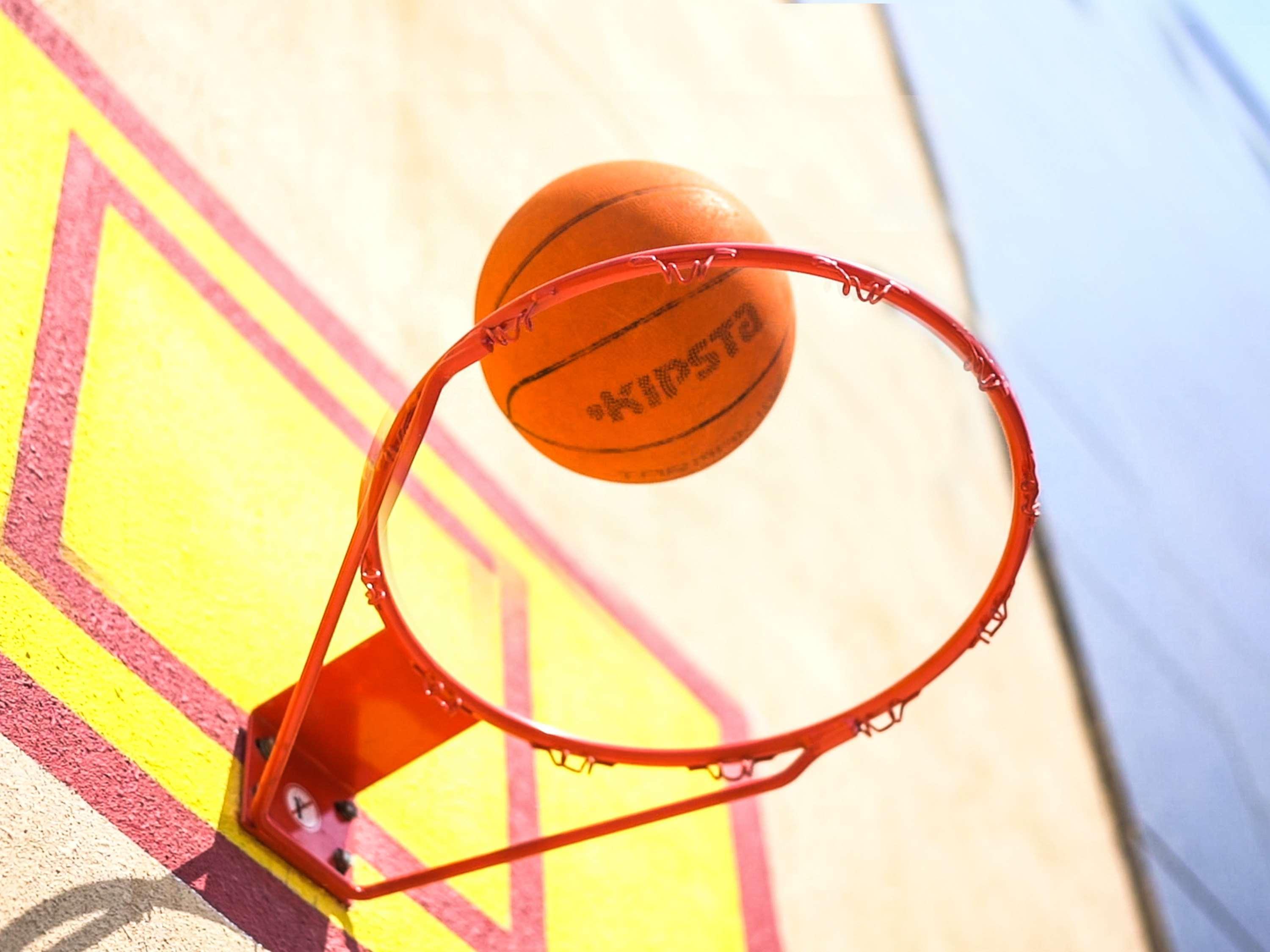 Novotel Chennai Sipcot Экстерьер фото A basketball entering a hoop